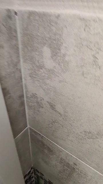 VID-20250313-WA0088.mp4