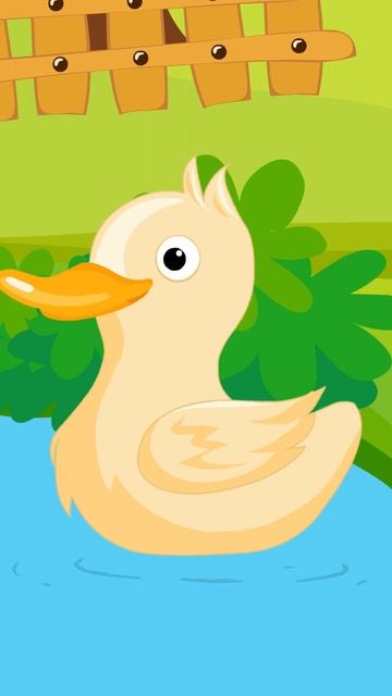 Five little ducks rhymes #rhymes #shorts #englishrhyme