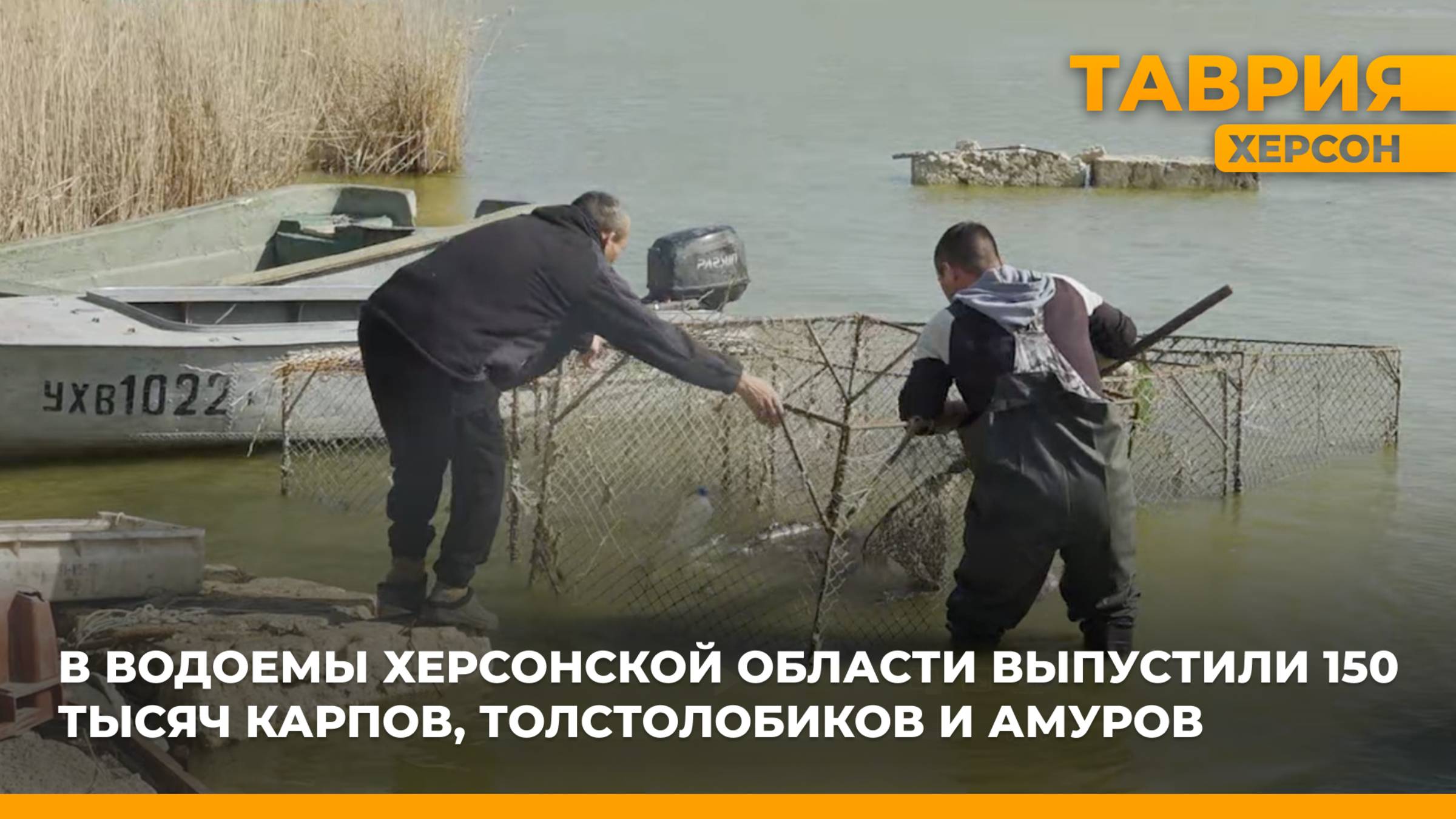 В Херсонской области начался сезон зарыбления