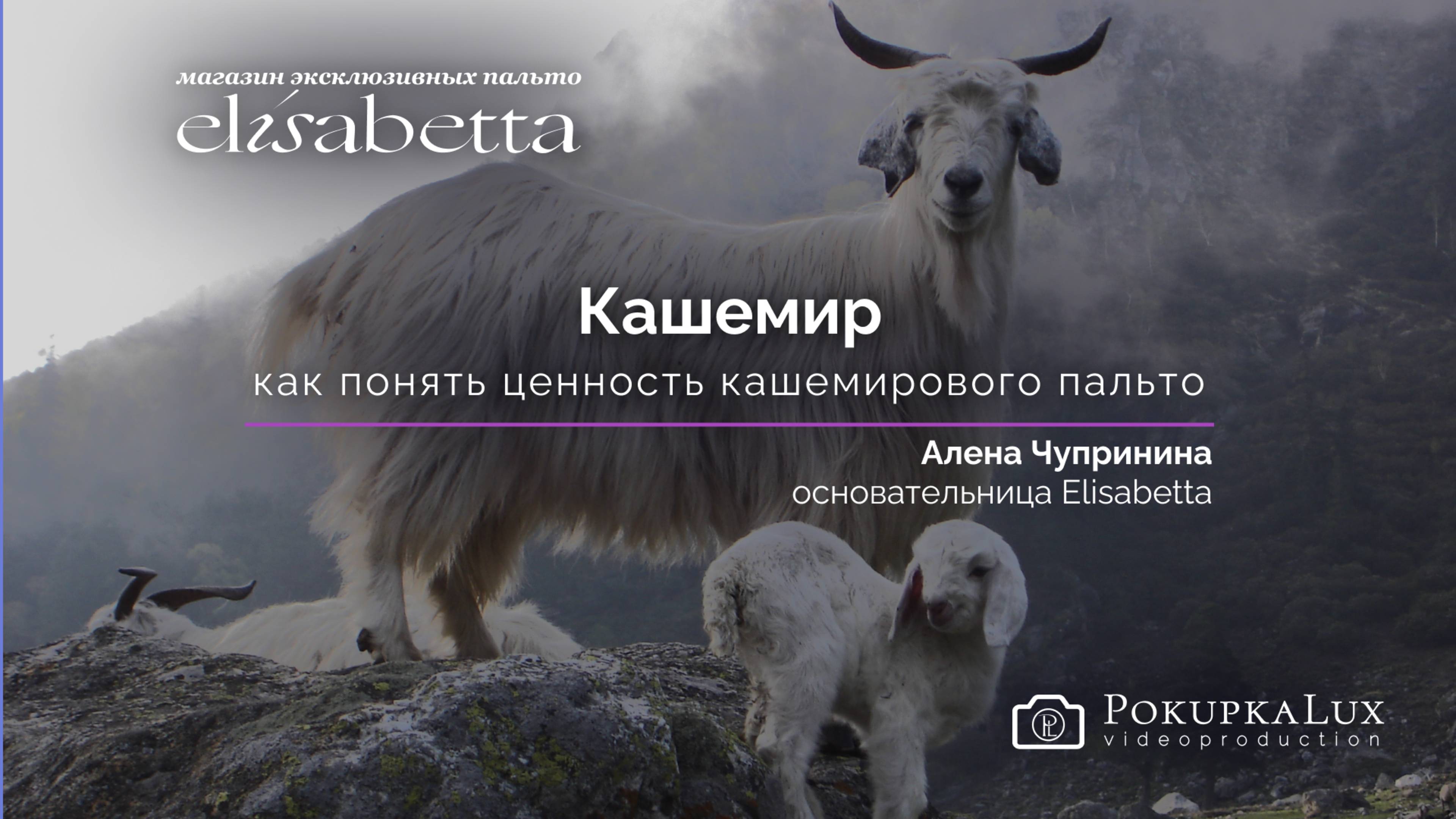 Elisabetta о Кашемире| PokupkaLux