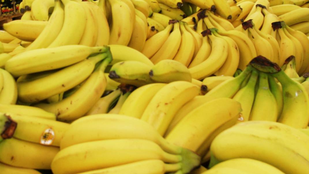 Урожай к концу года: бананы в промышленных масштабах начнут выращивать в Сочи