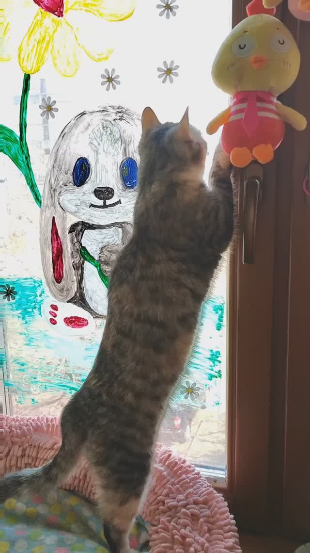 Мне мешают ваши ромашки🐱😆