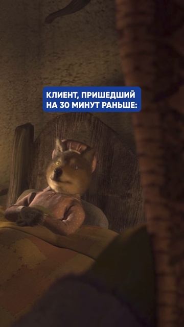 Ветврачи признавайтесь!