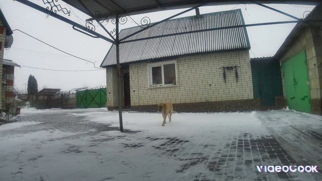 Квитко Валерий 3