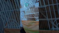 Как Тоня выходит.