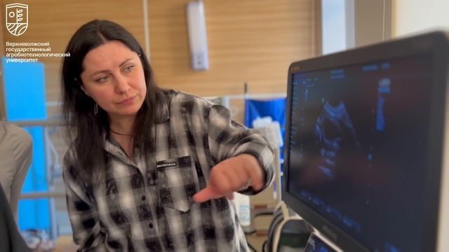 Курс ДПО «14-16 марта «Ветеринарная УЗИ диагностика. Первичный прием» для МДЖ"