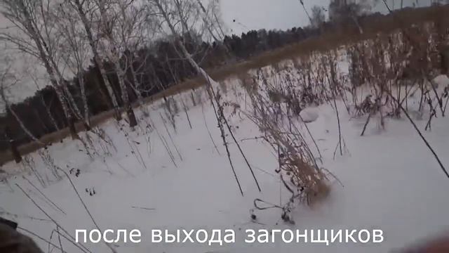 Загонная охота