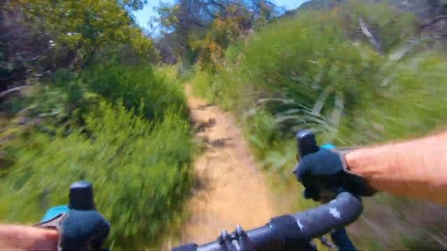 Superb Singletrack on the Gravel Bike