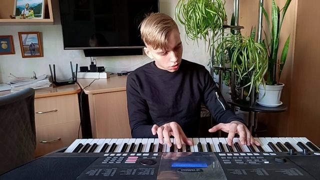 Музыкальное исполнительство, Довгашов Виталий - Numb