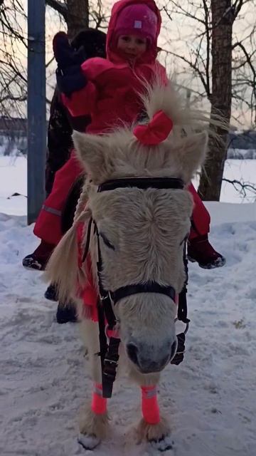 поля# раменское #раменское # лошади# #веселье #любит #игры #алиса #like #полина
