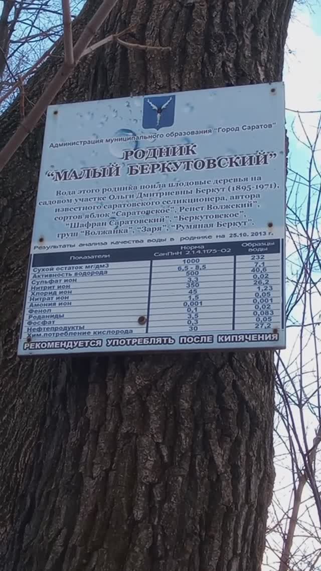 Родник "Малый Беркутовский", Саратов.