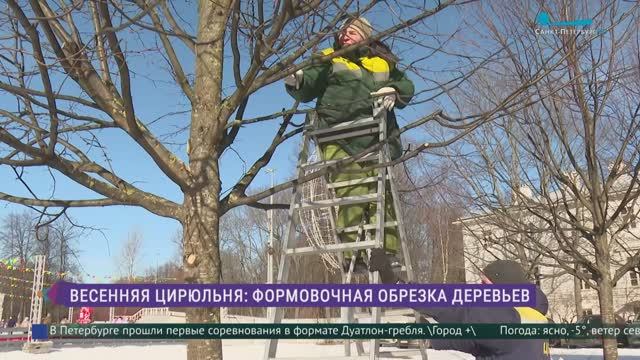Обрезка деревьев на Елагином острове