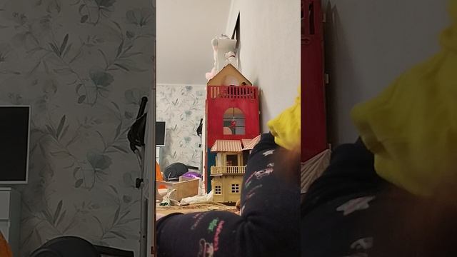 1000002706.mp4