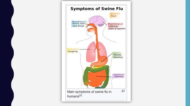 स्वाइन फ्लू H1N1 Virus Spreading Fast  विदेश से आया देश में वायरस Swine Flu - Current Affairs 2018