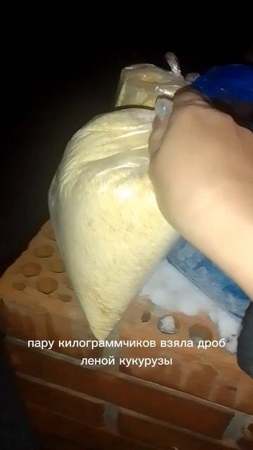 привезли корм для перепелов