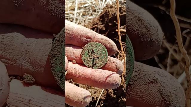 VID_20250317_140837_851.mp4