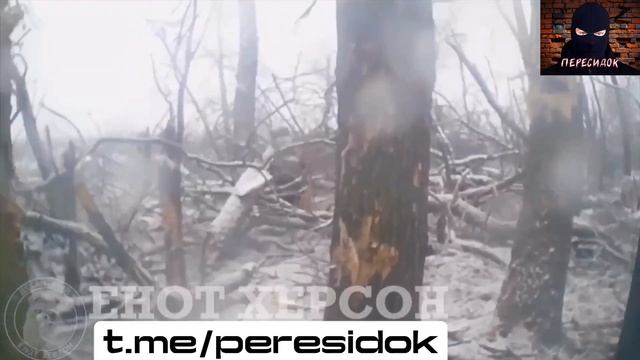 Штурм ВС РФ лесополосы от первого лица