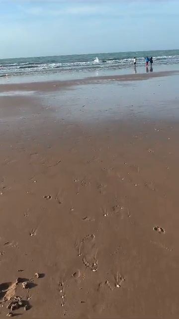 BM Beach Hotel 4*
Эмират Рас-эль-Хайма ОАЭ пляж отеля