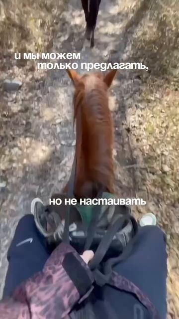 Никогда не делай этого с ребенком!