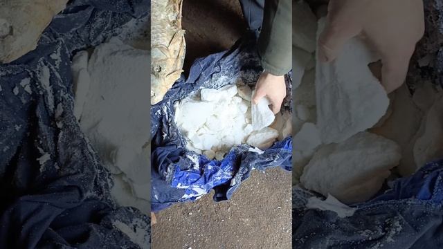 Карась сухого посола. Пять месяцев засолки.