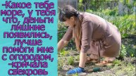 - Какое тебе море, у тебя что, деньги лишние появились, лучше помоги мне с огородом