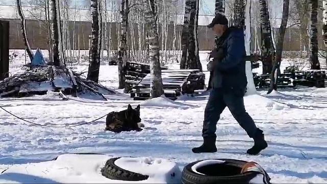 Энди- охрана места - работа с Олегом