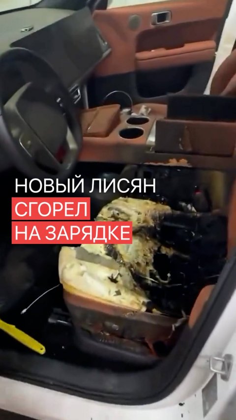 Лисян загорелся прямо на зарядке