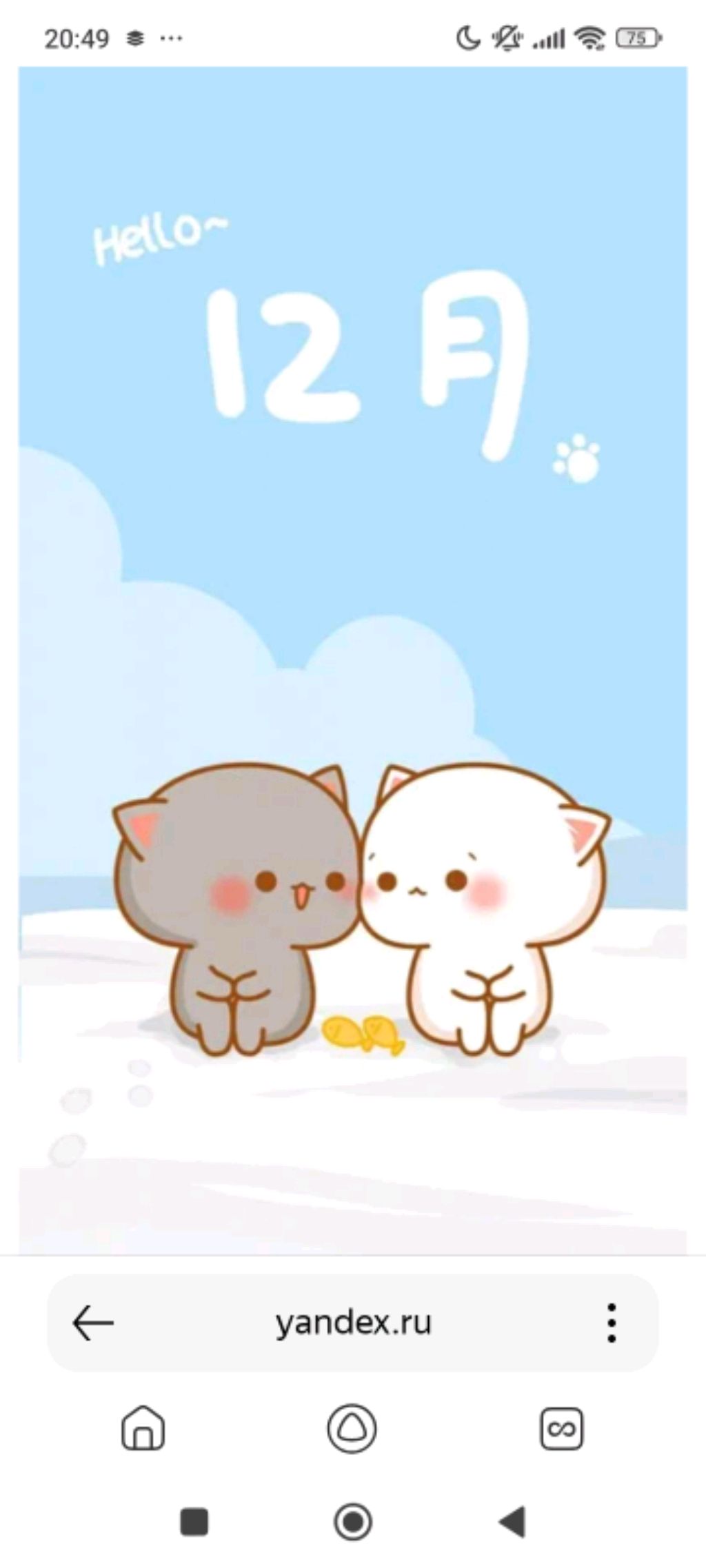 котики 🐈