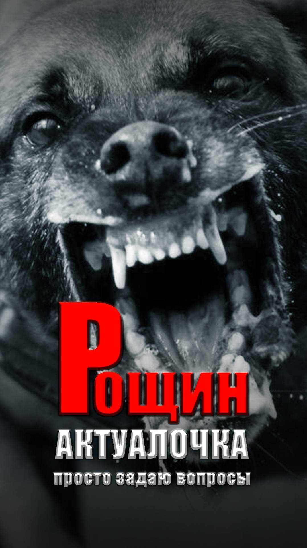 Актуалочка. Бездомные собаки...