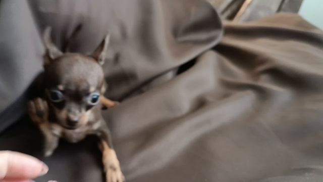 1000045799.mp4