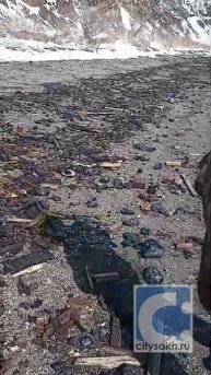 Экология под угрозой: в Корсакове обнаружили залежи гудрона