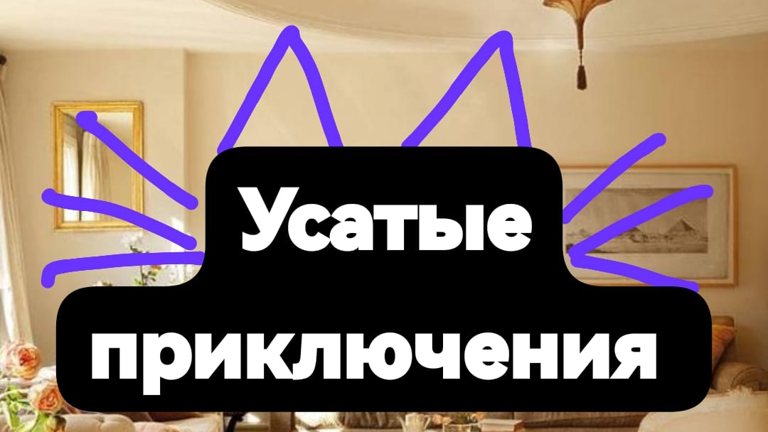 УСАТЫЕ ПРИКЛЮЧЕНИЯ    (переезд)
