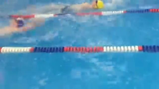 ЧОУ СОШ Перспектива на gorodarmavir.ru