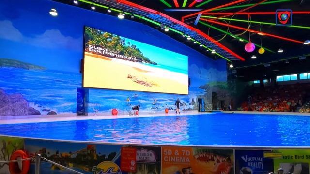 Dolphinarium Show Dubai | Creek Park | Dolphin Show