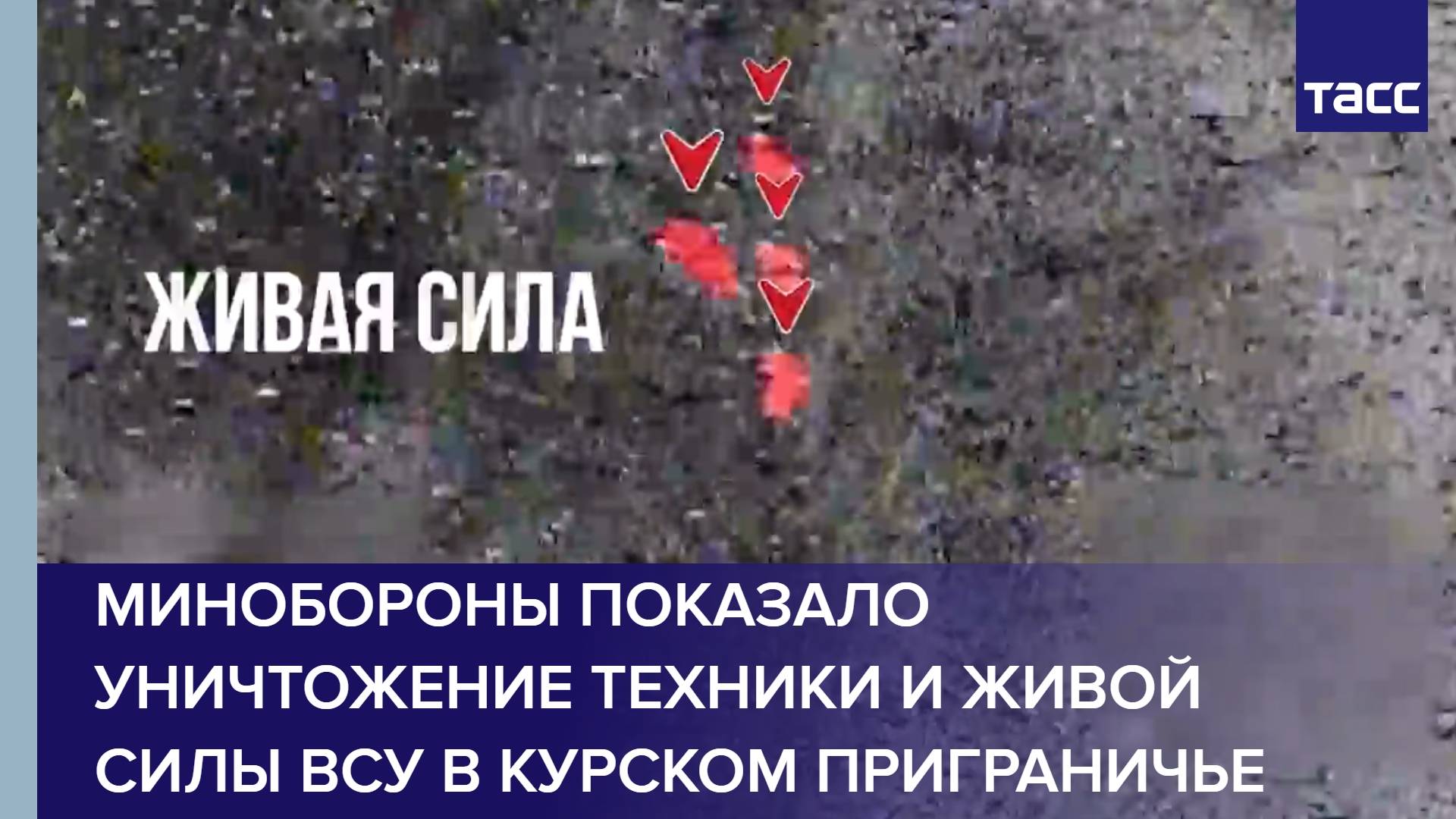 Минобороны показало уничтожение техники и живой силы ВСУ в курском приграничье