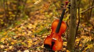 Скрипка музыка. Современная скрипка. Спокойная скрипка. Грустная скрипка. Классическая музыка