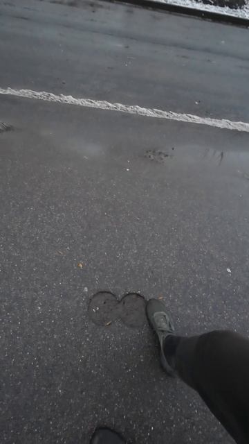 Загадочные пробы асфальта