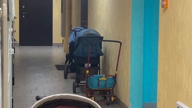 Дождался хозяина и теперь мы вместе на идем домой! Сейчас буду кушать и спать, мяуу