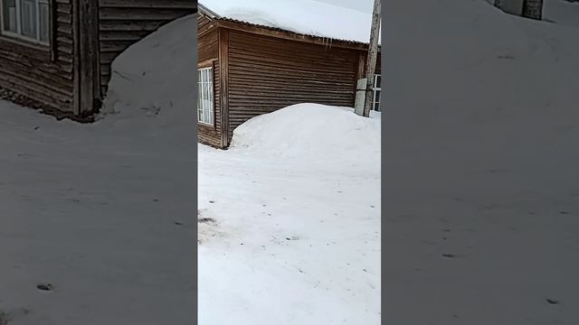вам про вас
