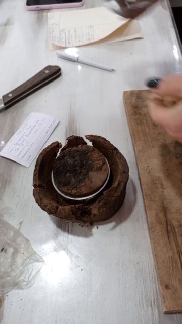 🔎 Определяем плотность с помощью режущего кольца