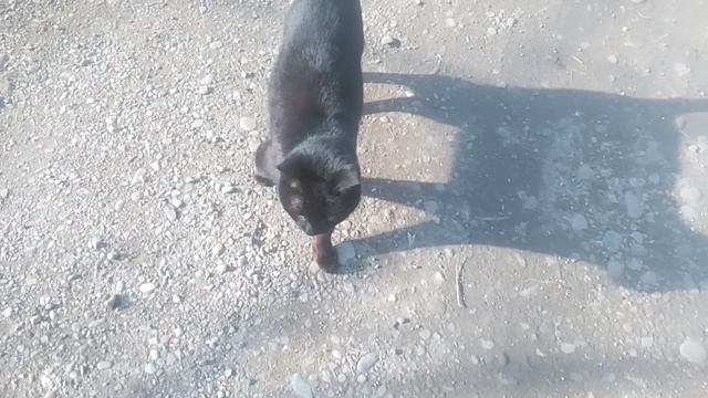 VID_20250310_160707