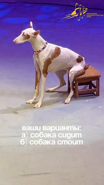 Сидит или стоит? :)