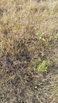 тяжести жизни