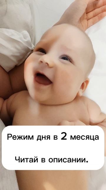 Режим в 2 месяца