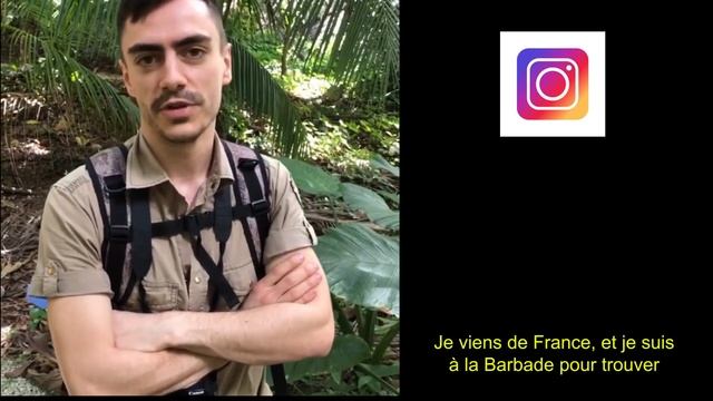 Je cherche le plus petit serpent du monde [SPOIL : je ne le trouve pas lol]