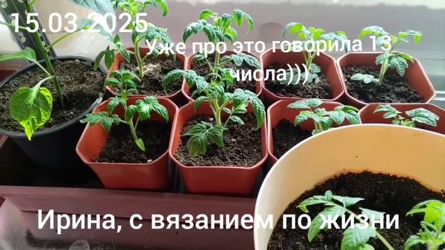 Влог с 10 по 16 марта 2025г