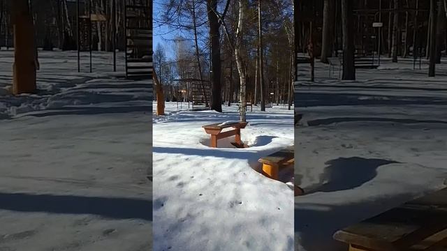 VID-20250316-WA0065
