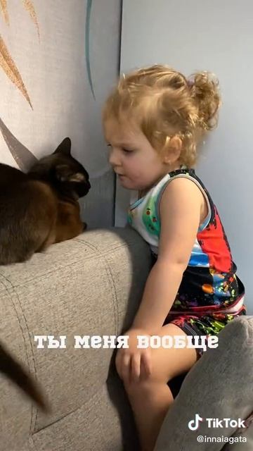 нотация шерстяному