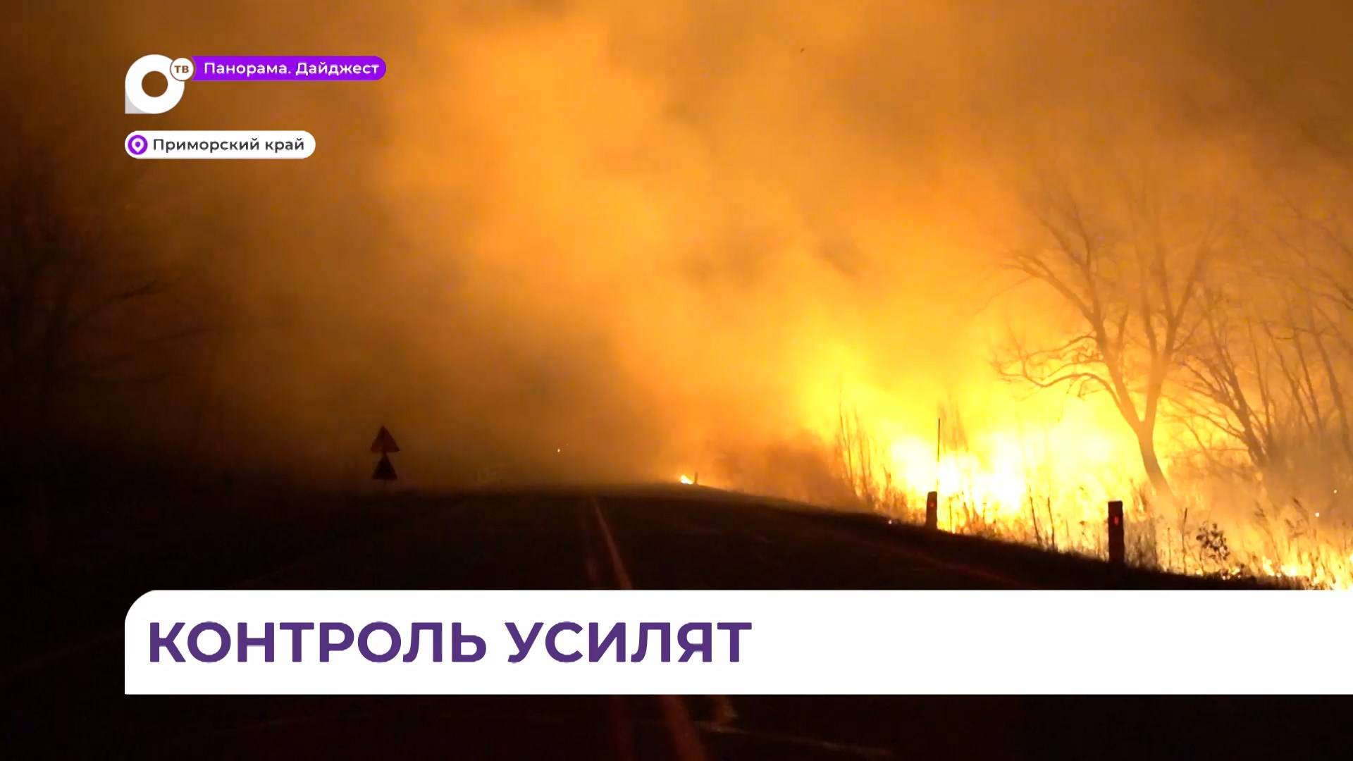 Губернатор края Олег Кожемяко поручил усилить контроль за пожарной обстановкой в Приморье