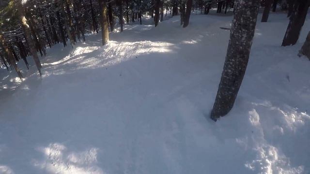 Mt Snow - North Face - Olympic -  Olympic glades